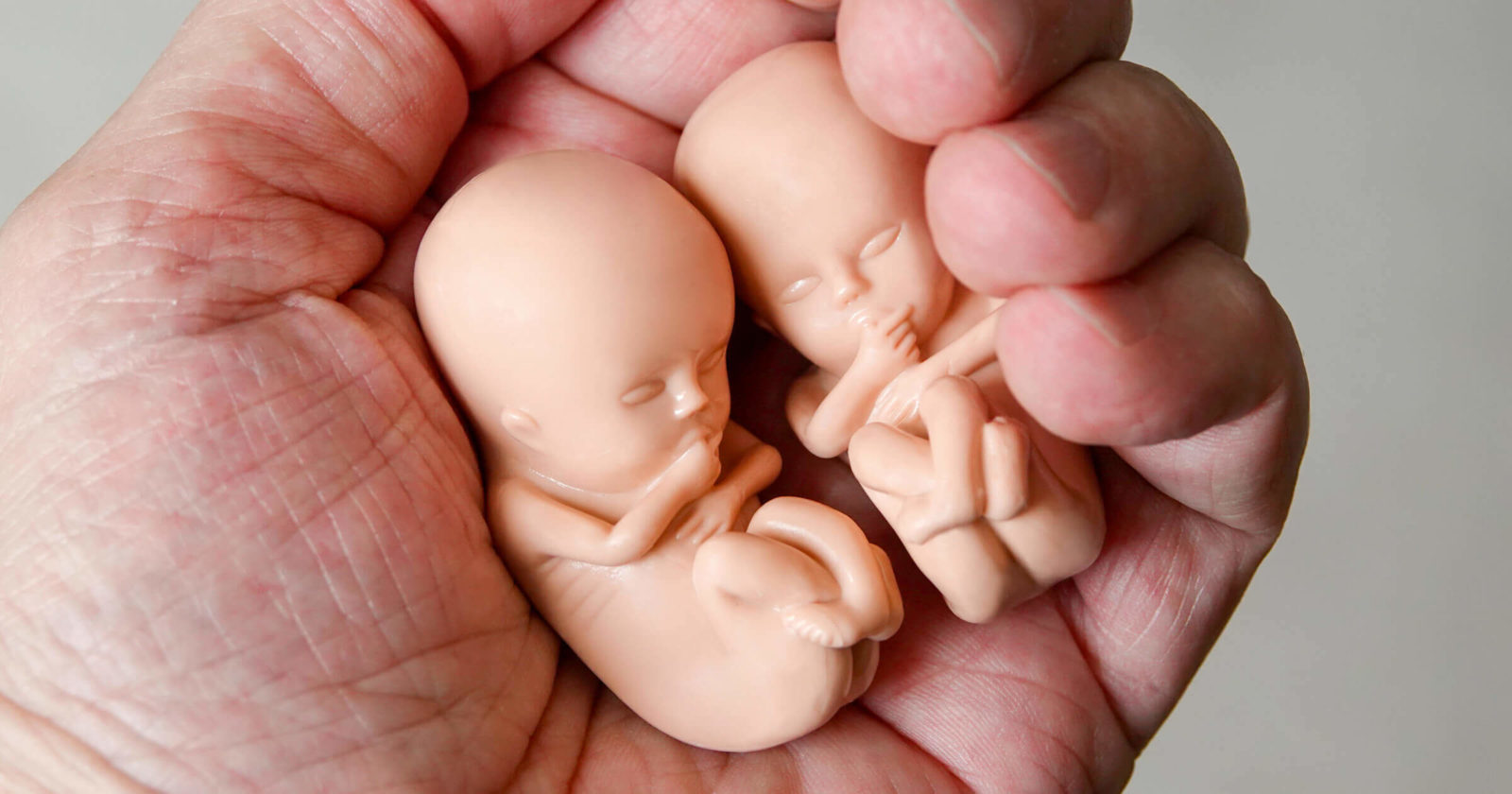 2020 abortion numbers show drastic increase on 2019's all