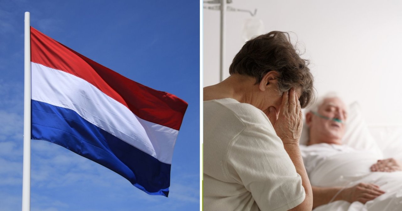 Netherlands Had Record Number Of Euthanasia Procedures In 2020