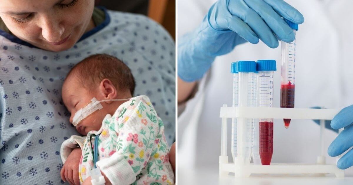 New study suggests blood test can help identify women at risk of premature birth