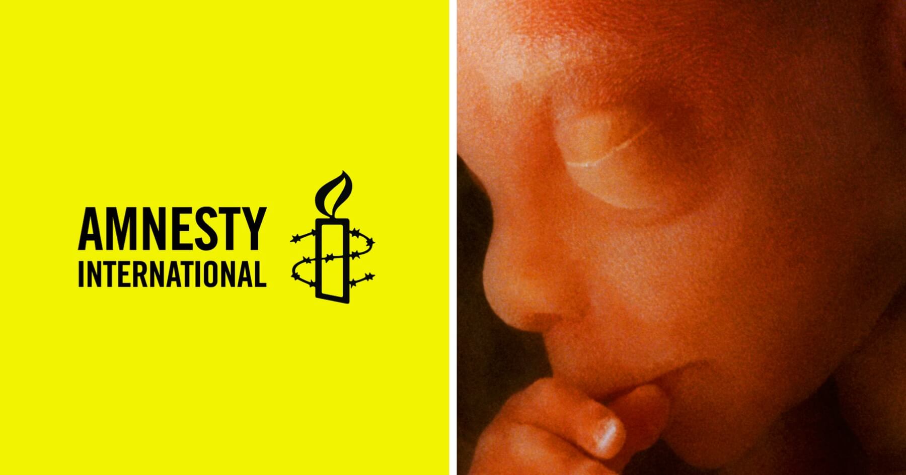 Amnesty International uses war in Ukraine to promote abortion