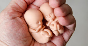 Record-high number of abortions in 2021