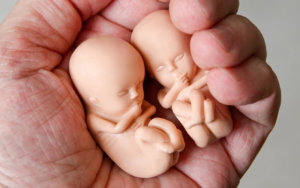 Record-high number of abortions in 2021