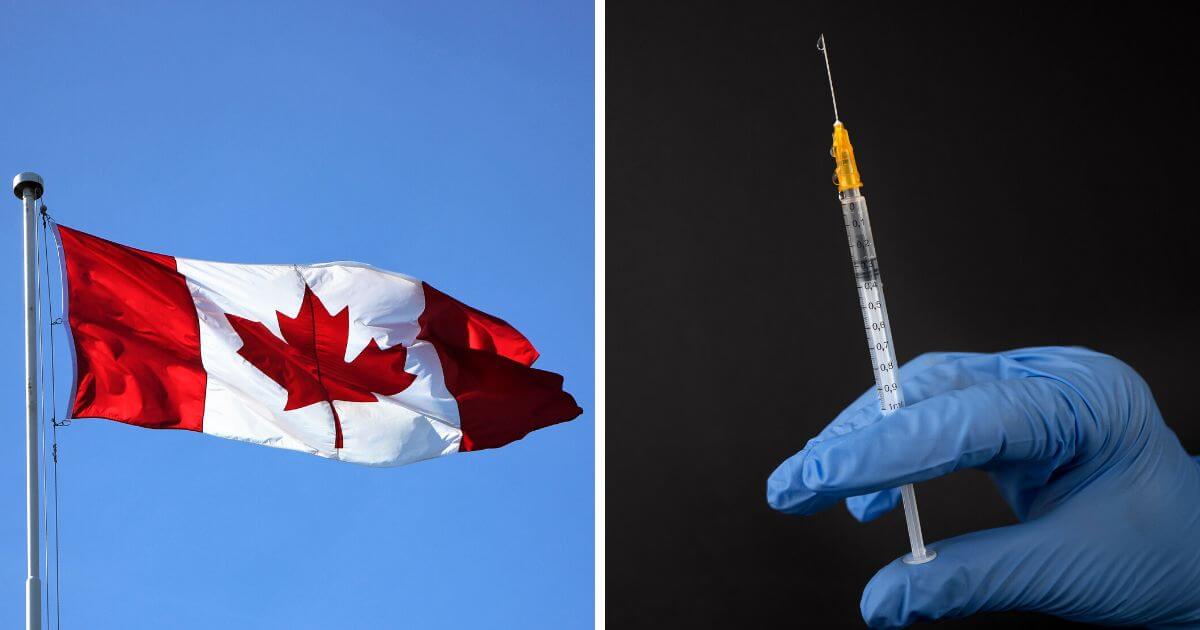 Two Canadian doctors euthanised over 700 people between them