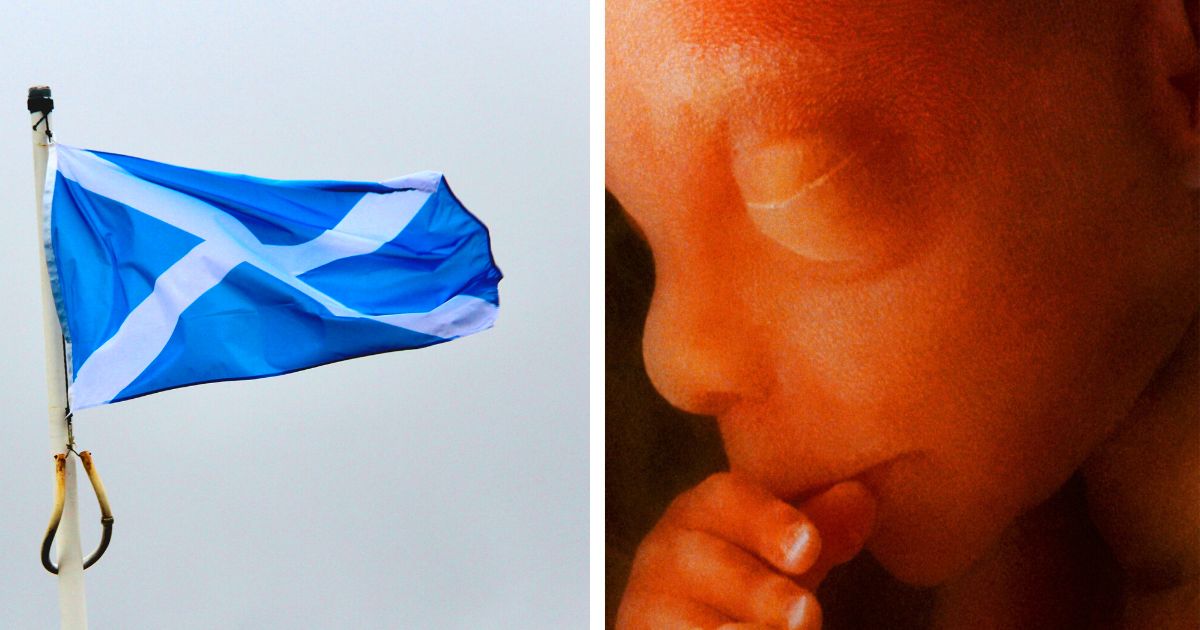 Scotland sees highest abortions on record in 2022