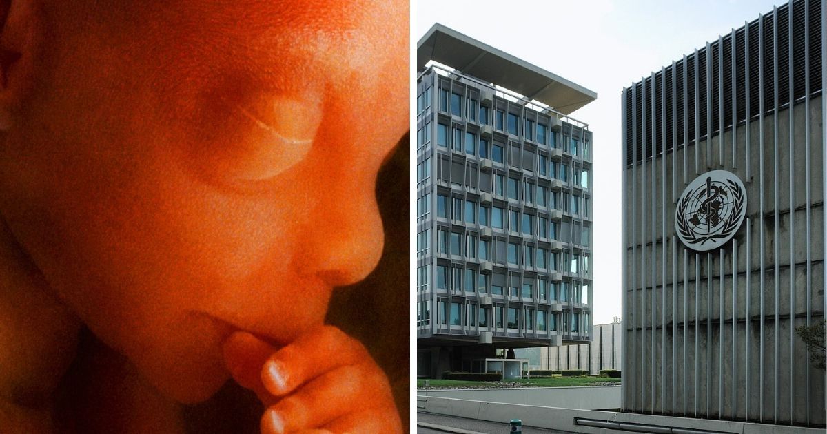 World Health Organization spending millions on helping end lives through abortion
