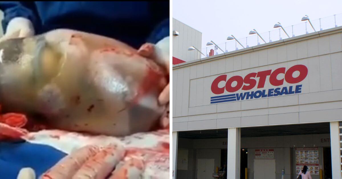 NZ mum gives birth to baby in amniotic sac a month early, in a Costco toilet
