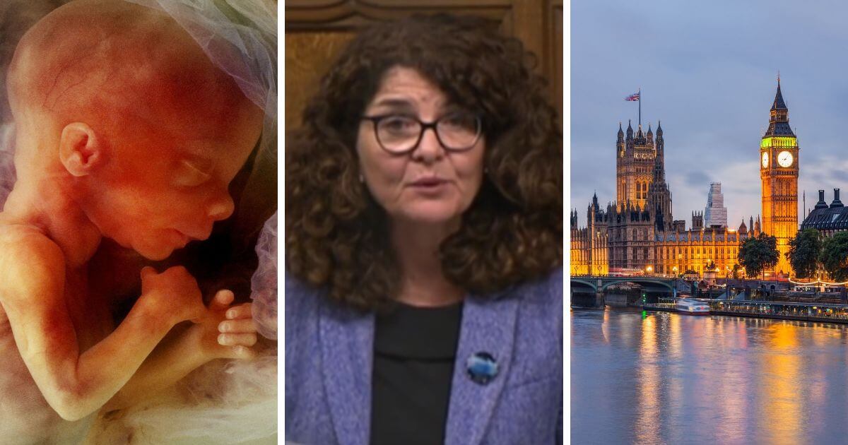 New poll indicates very little support for MP’s radical abortion up to birth proposal
