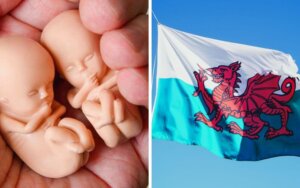 Welsh mum gives birth to 29-week premature twins at home