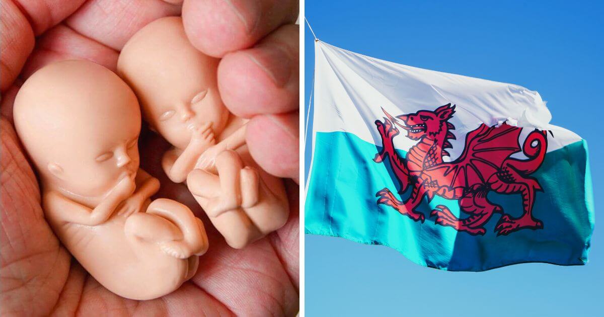 Welsh mum gives birth to 29-week premature twins at home