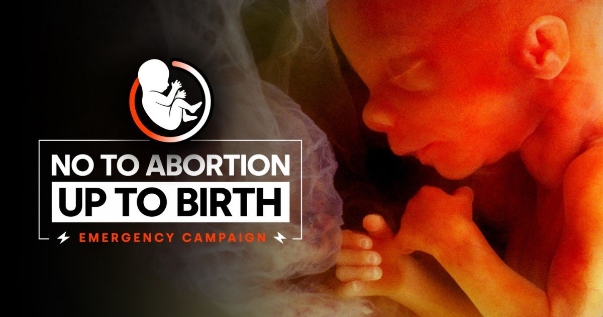 ACTION ALERT - Stop Stella Creasy’s new extreme abortion up to birth amendment