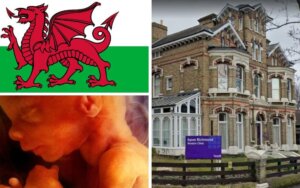Limited availability of late-term abortion in Wales makes it “easier to continue the pregnancy” than travel for abortion