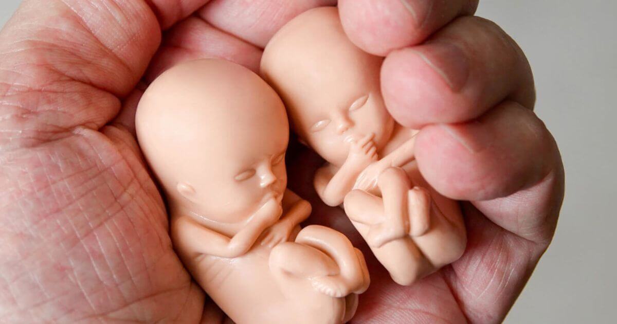 Record high of over quarter of a million abortions in 2022