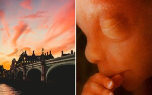 200 MP candidates sign pro-life pledge in biggest response to Right To Life UK election campaign ever