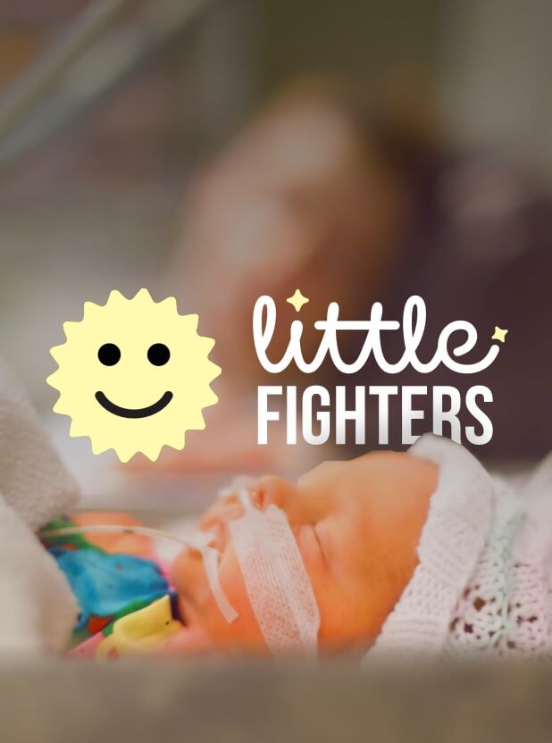 Little Fighters