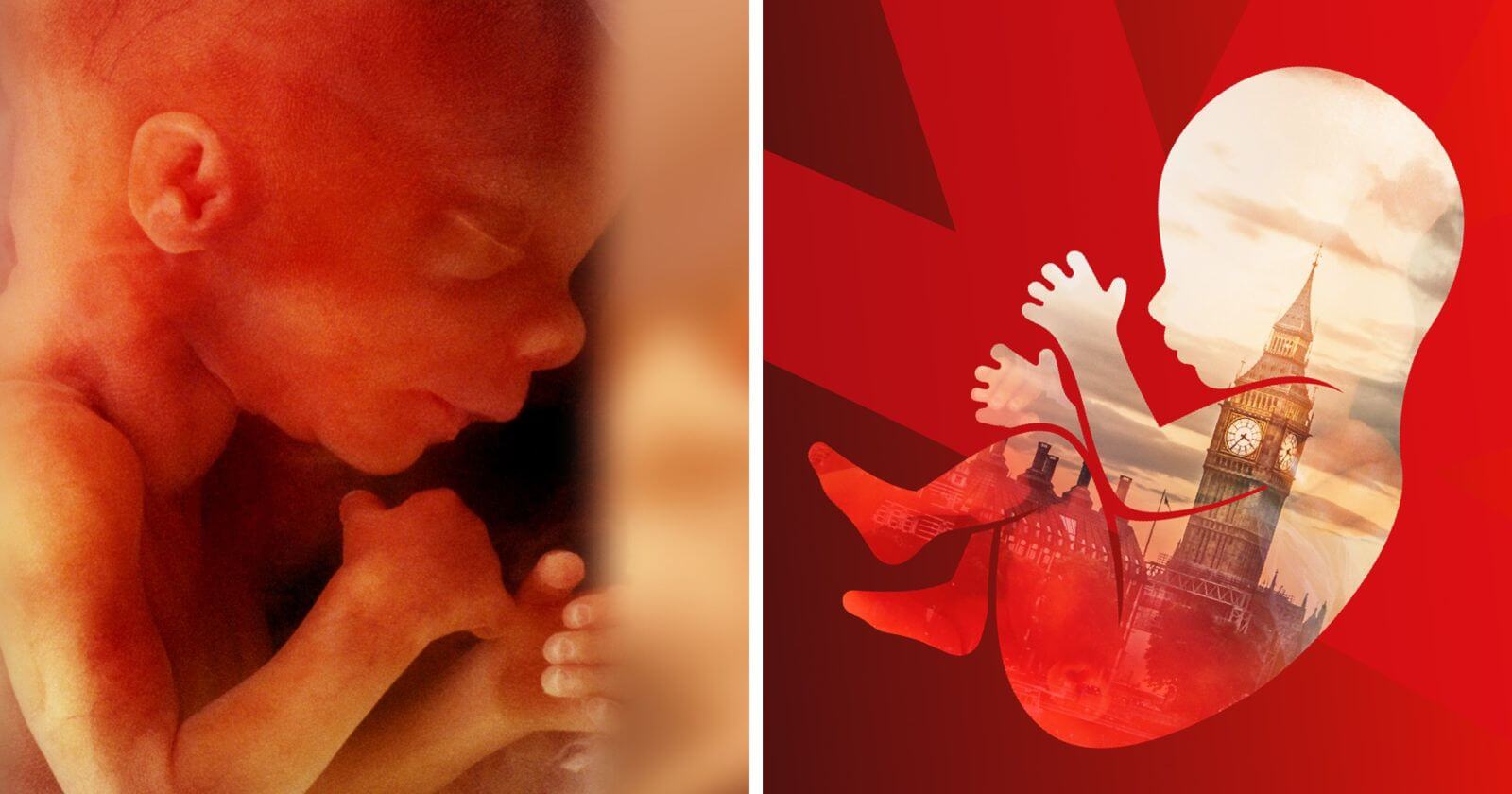 Critical update What the election result means for the unborn