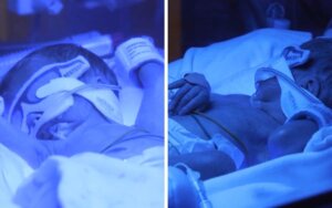 Premature twins small enough to fit into the palm of your hand, home after more than 100 days in hospital