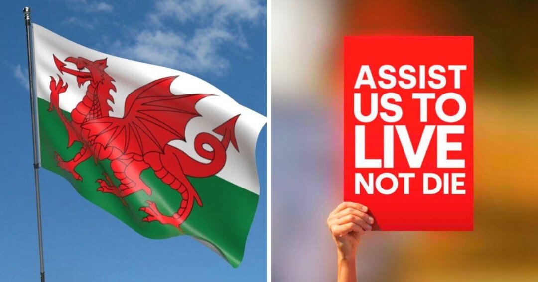 Press release – Welsh Parliament votes decisively to reject assisted suicide, resulting in major setback for assisted suicide campaigners