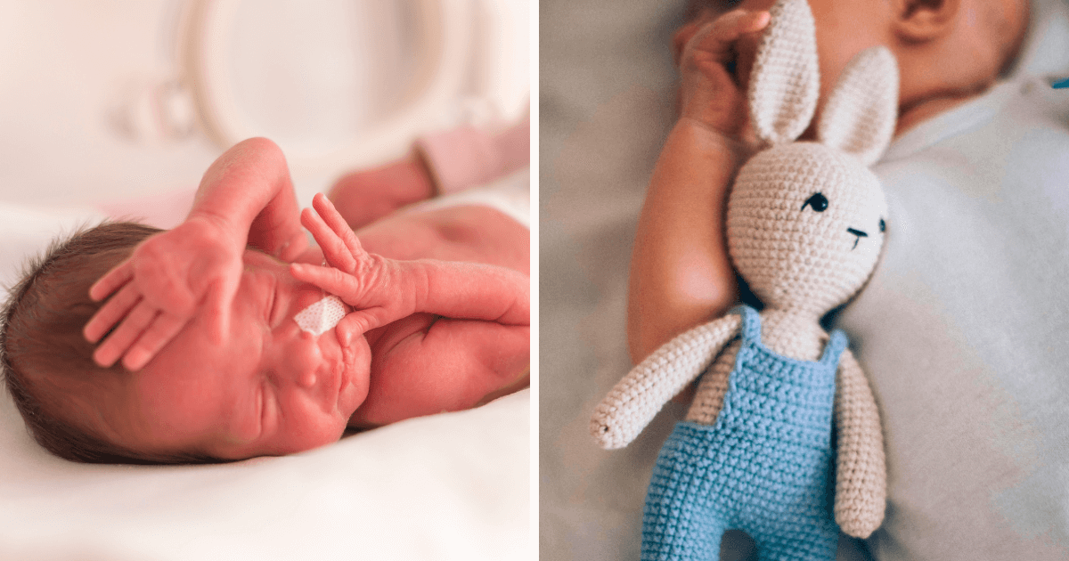 Mother of 23-week tiny twins makes toy rabbits for hospital staff and babies