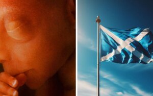 Scotland abortion numbers highest on record