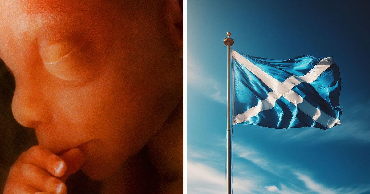 Scotland abortion numbers highest on record