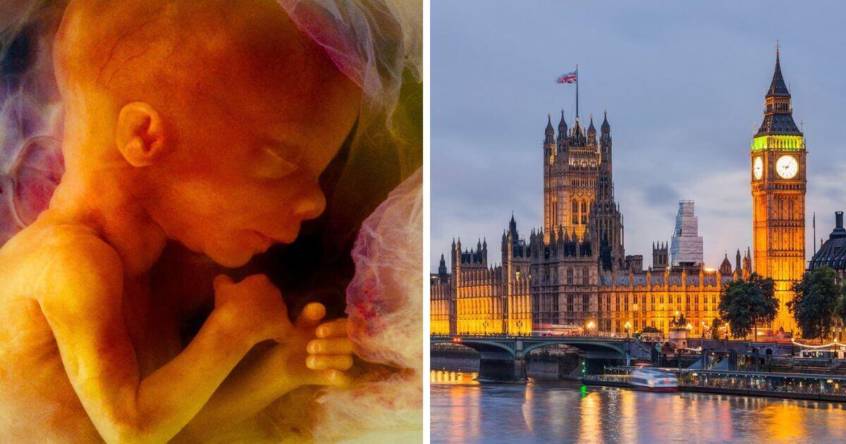 MPs hijack government bill to rush through abortion up to birth law change