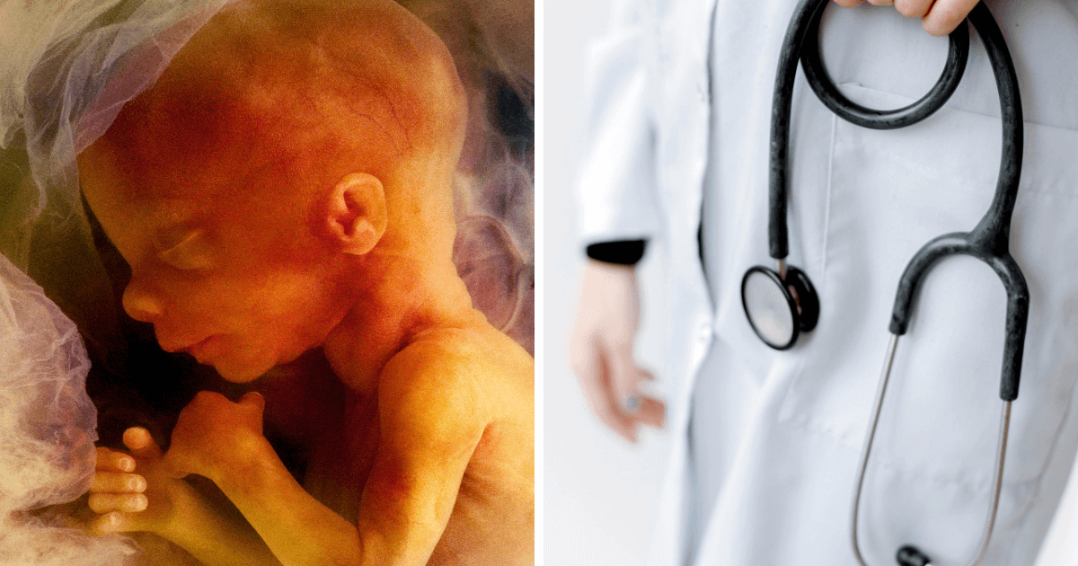 Press release - Over 1,000 medical professionals urge MPs to oppose abortion up to birth amendments
