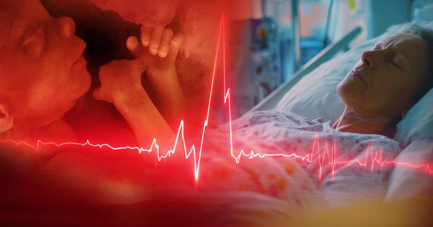 Emergency appeal to stop extreme assisted suicide law - 63percent-update (1)