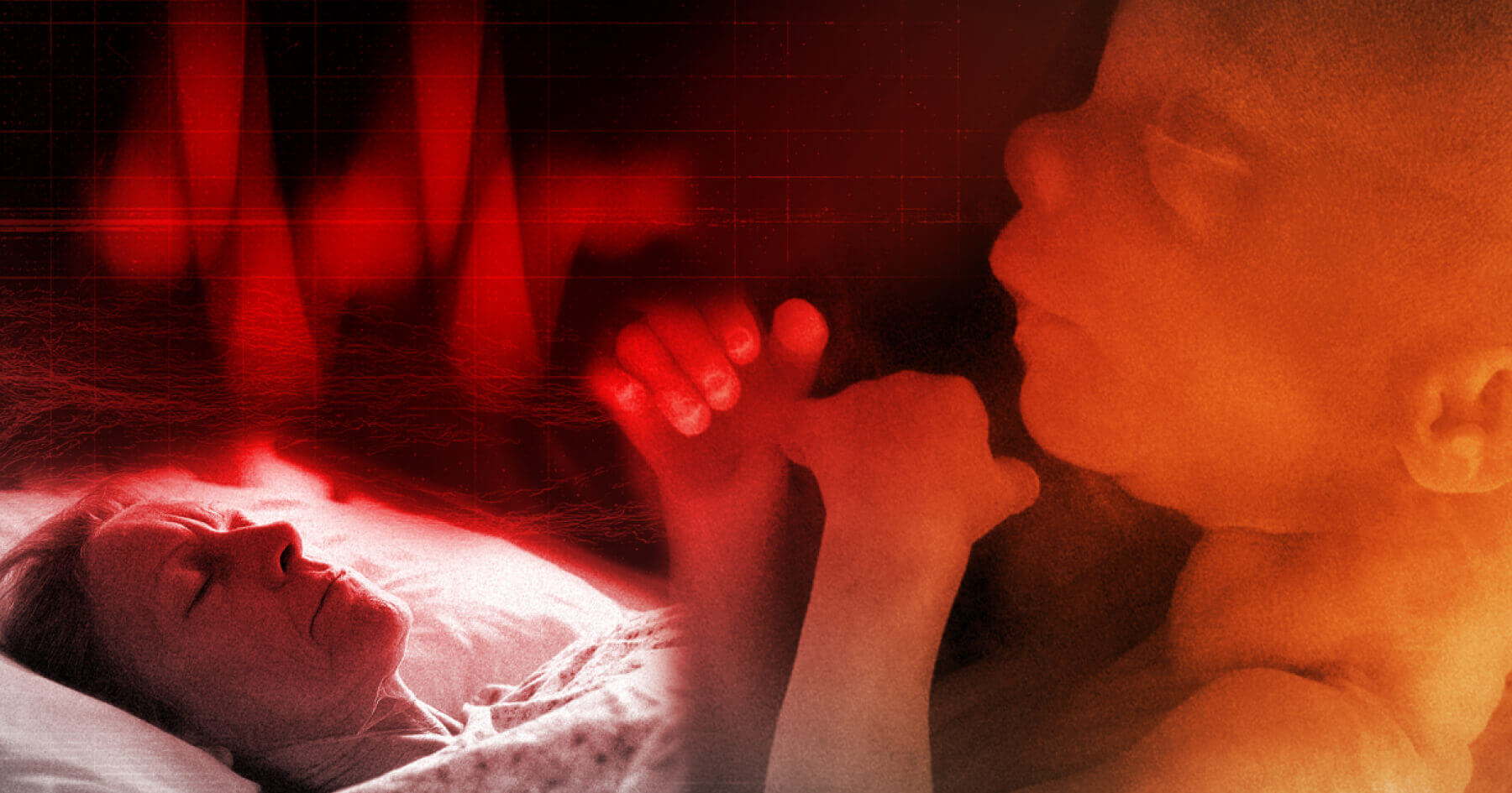 Important update on abortion and assisted suicide