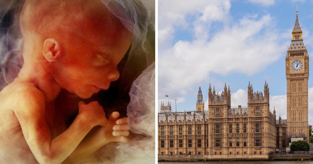 Antoniazzi abortion up to birth clause - Second Reading tomorrow