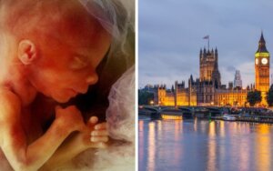 Press release – Peers launch major bid to overturn abortion up to birth clause