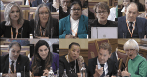 Wrap up House of Lords assisted suicide Bill select committee – day 4