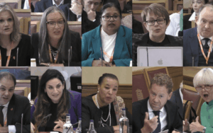 Wrap up: House of Lords assisted suicide Bill select committee – day 4