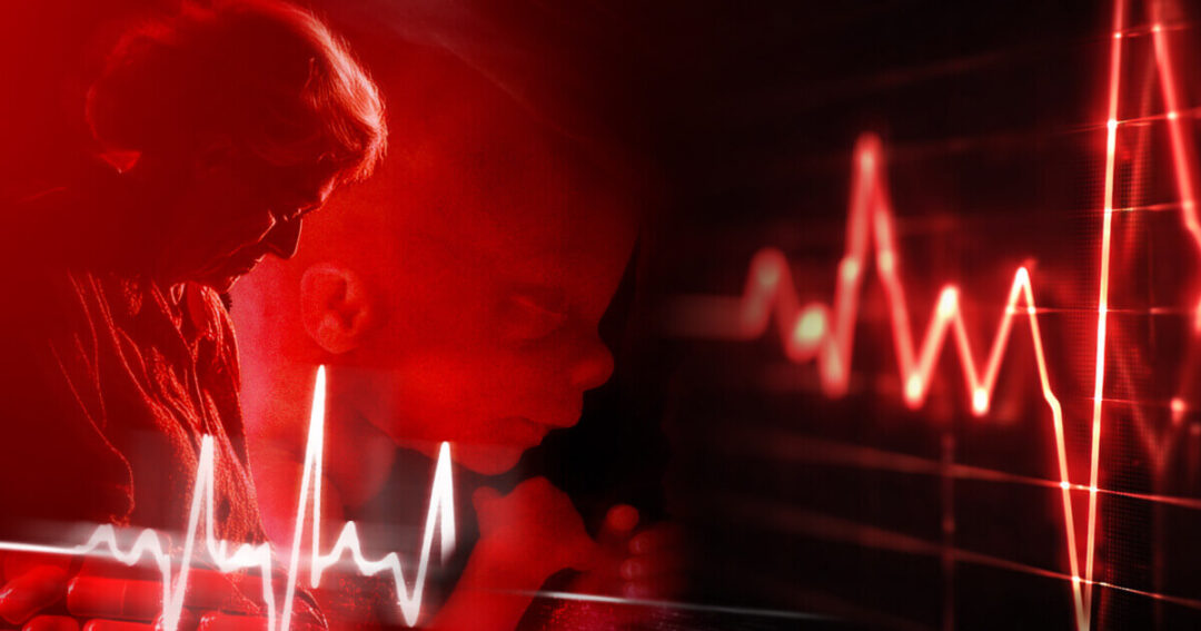 Important update on the Leadbeater assisted suicide Bill and abortion up to birth proposals