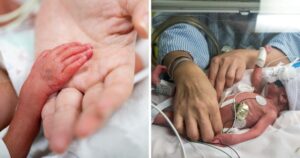 Premmie baby boy born at 23 weeks goes home after 230 days in hospital