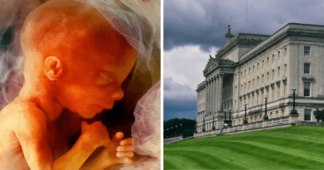 Press release – Record 2,899 lives lost to abortion in Northern Ireland