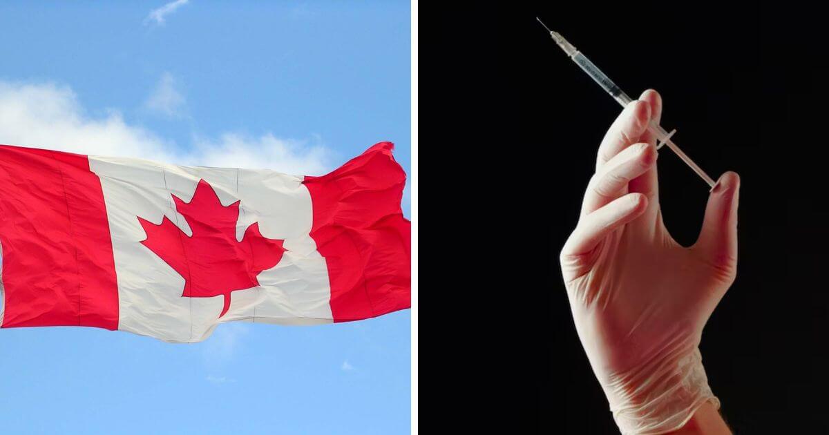 Canada: Woman euthanised against her will after requesting palliative care