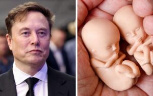 Elon Musk expresses disbelief as almost 1 in 3 pregnancies ended in abortion in 2023 in UK