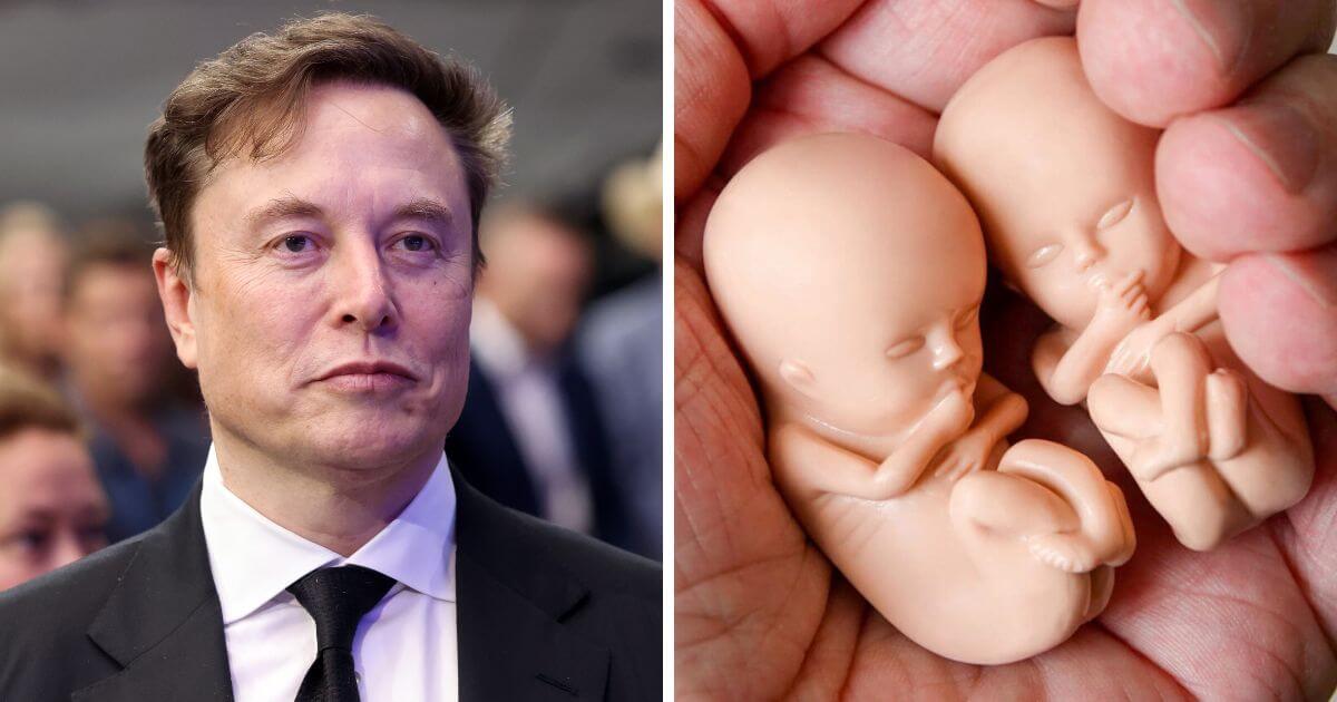 Elon Musk expresses disbelief as almost 1 in 3 pregnancies ended in abortion in 2023 in UK