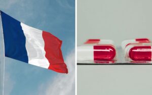 French assisted suicide Bill left unworkable after Senate rejects core clause