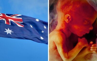 Australia: Baby left to die alone while sucking thumb following failed abortion