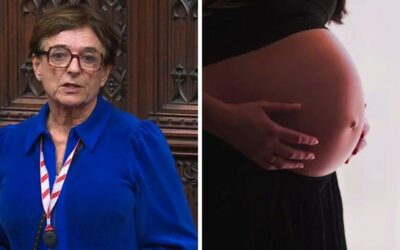 Peer slams “reckless and radical” abortion up to birth clause