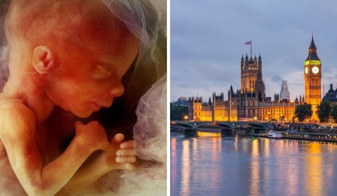 Press release – Peers line up to back bid to overturn abortion up to birth clause