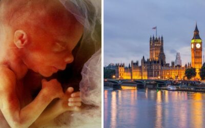 Press release – Peers line up to back bid to overturn abortion up to birth clause