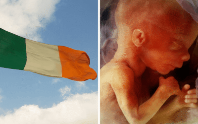 108 babies born alive then died after failed abortions in Ireland