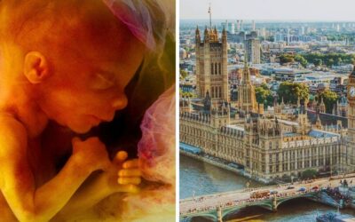 79 MPs and Peers call for ‘abortion up to birth’ clause impact assessment before it comes into force, as Peers table Regret Motion in House of Lords