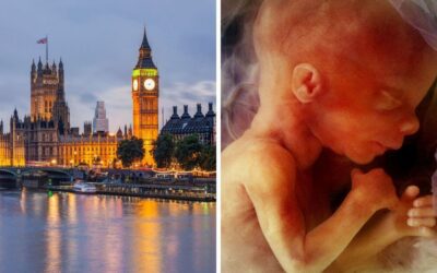 Press release – Peers reject amendments to overturn extreme abortion clause and to reinstate in-person consultations before an abortion