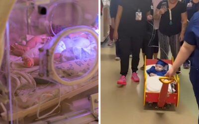Premature baby, born at 22 weeks, goes home from hospital after 257 days