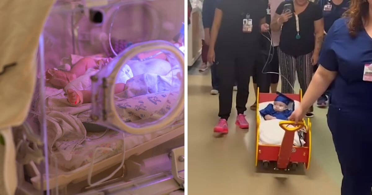 Premature baby, born at 22 weeks, goes home from hospital after 257 days