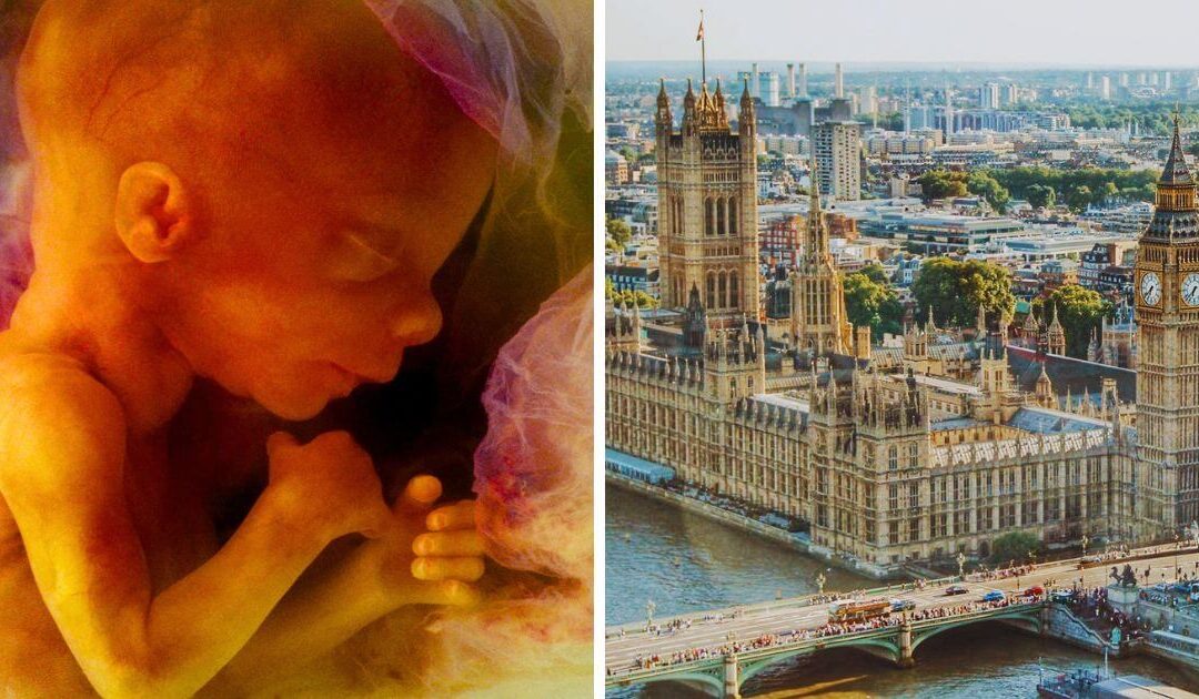 Press release – 79 MPs and Peers call for ‘abortion up to birth’ clause impact assessment before it comes into force, as Peers table Regret Motion in House of Lords
