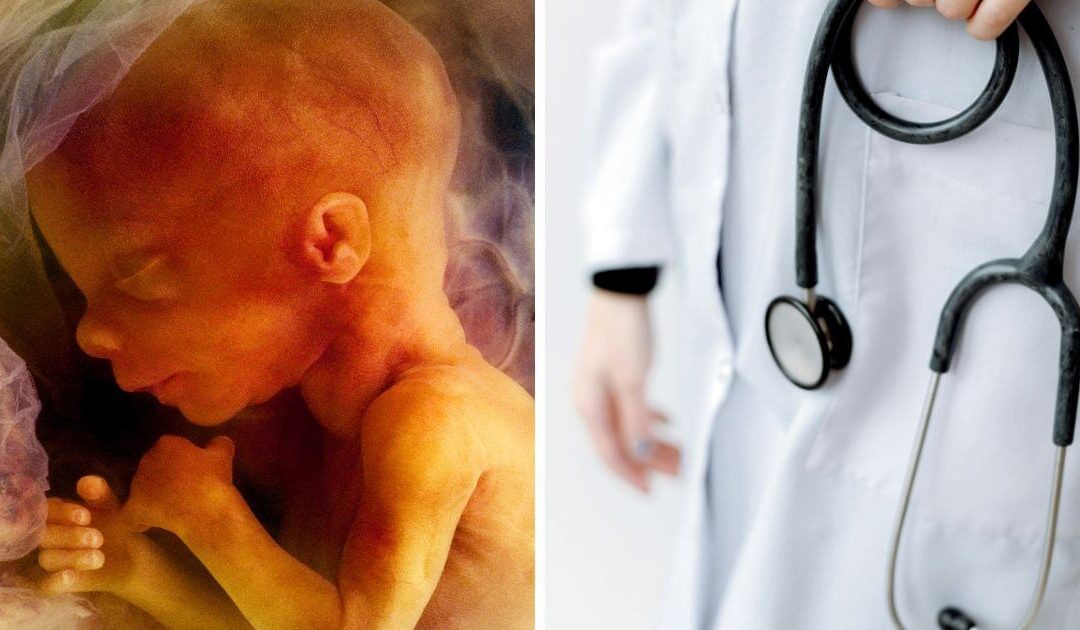 Press release – Over 1,000 medical professionals urge Peers to oppose abortion up to birth clause